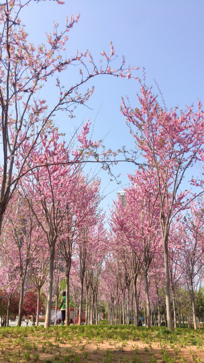 一些日常拍的