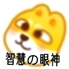 doge表情包