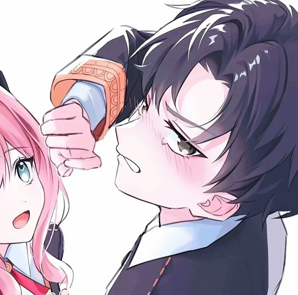 间谍过家家
次子ⅹ阿尼亚