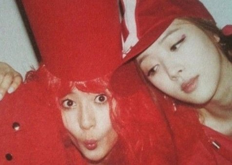 Sulli & Krystal
©logo 侵权删.