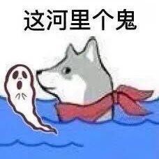 续集