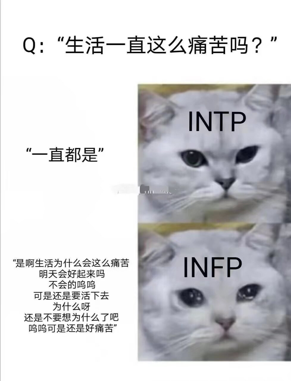 INTP INFP
生活一直这么痛苦吗？