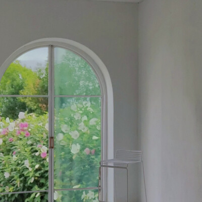 窗外的花是给你看的
*