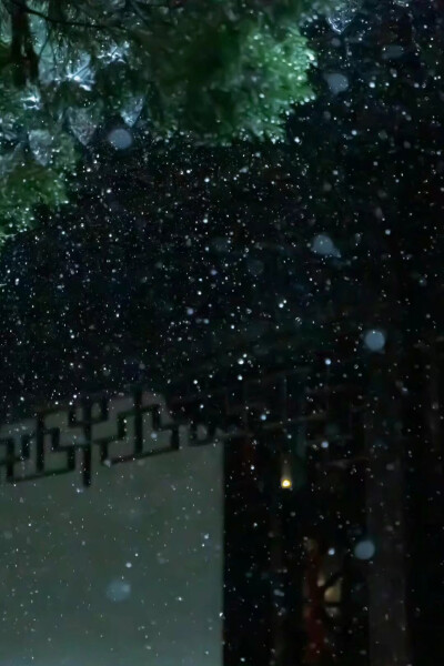 听雨，檐外
摄影：沈伶书
#冷瞳