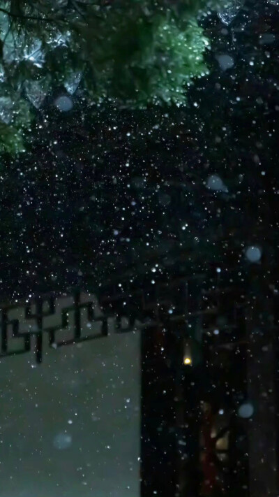 绿色 风景 壁纸图集
摄影：沈伶书
#冷瞳
