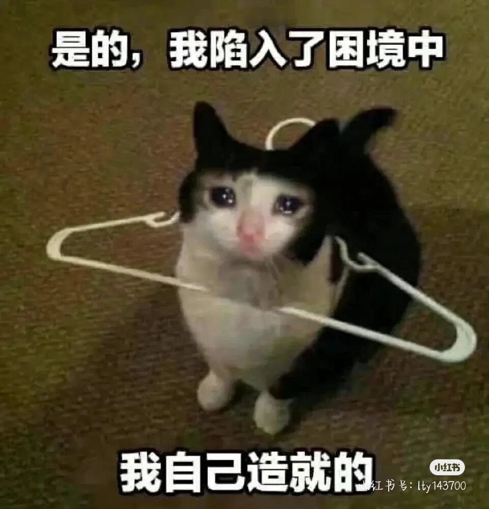 表情包