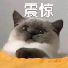 表情包