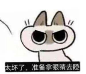 暹罗猫表情包