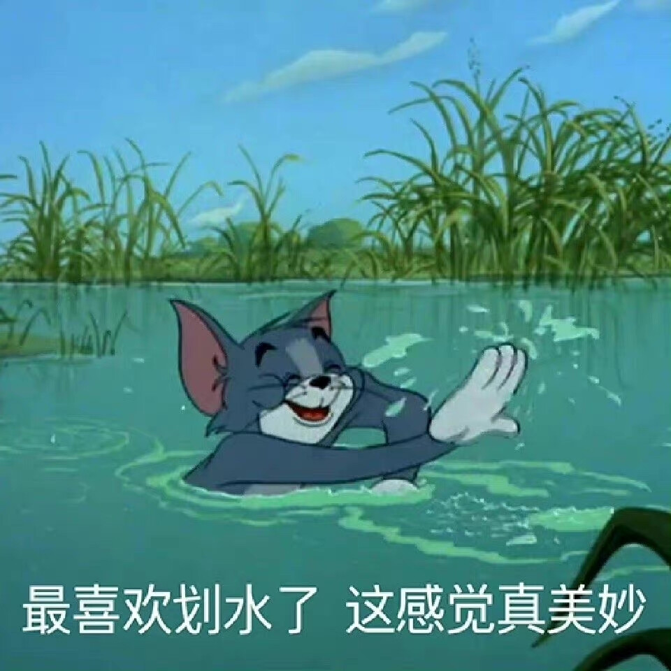 表情包 摆烂