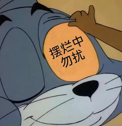 表情包 摆烂