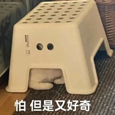 表情