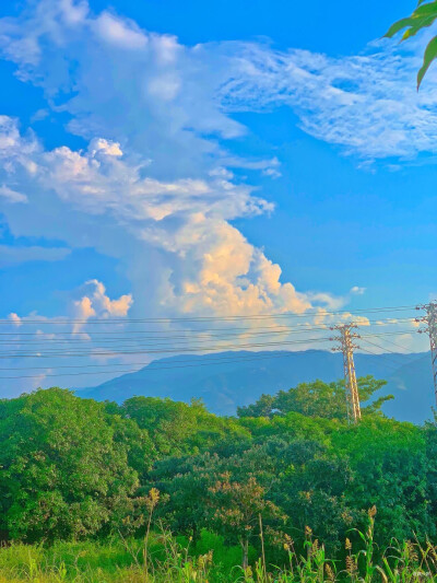 背景图｜宫崎骏的夏天！