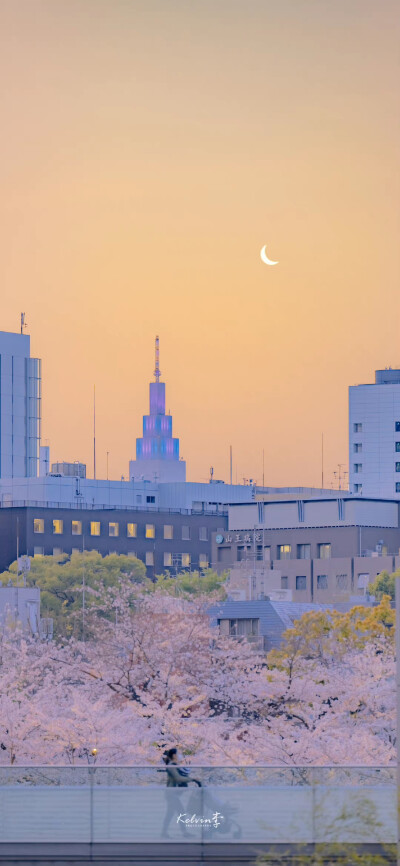 自然风景 夏日壁纸 绿色壁纸 清凉壁纸 ins风壁纸 氛围感壁纸 质感壁纸
部分来自水印