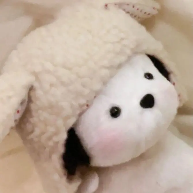 头像