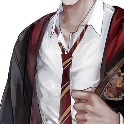 Gryffindor/ 爱你时比爱塞尔比亚忠诚