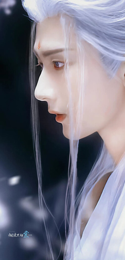 沉香如屑▪成毅
cr.烟波里的棠