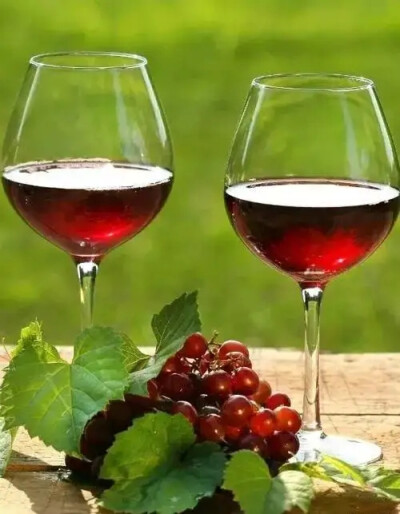 葡萄美酒夜光杯
