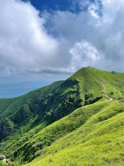 风景