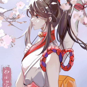 伽罗 花间巫女