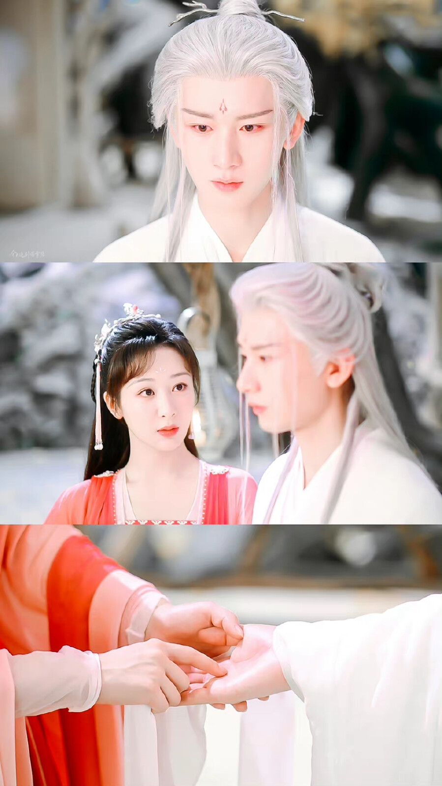 沉香如屑 杨紫成毅