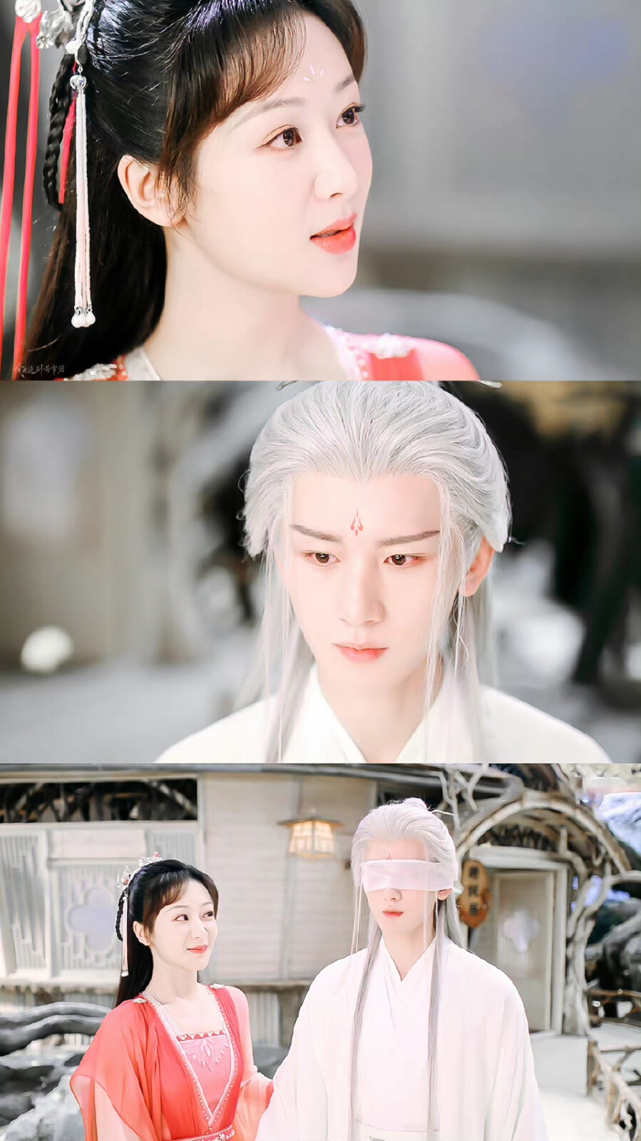 沉香如屑 杨紫成毅