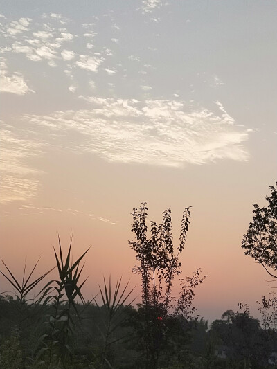 夏日的田间风景