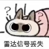 猫猫狗狗组