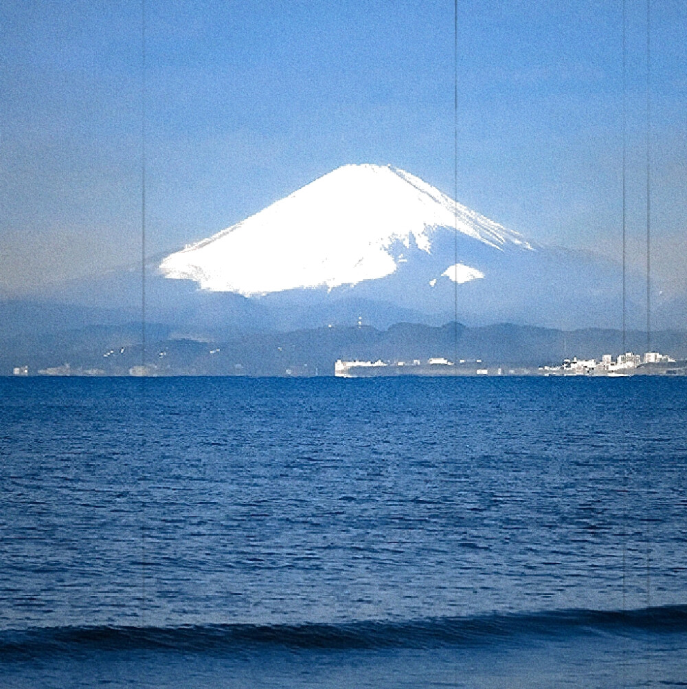 
海鸟跟鱼相爱 不过是一场意外