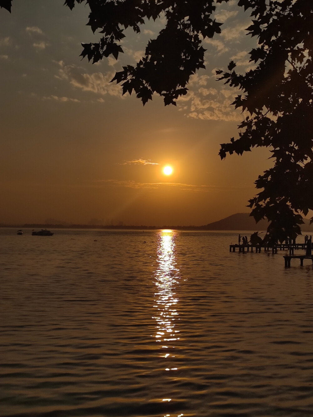 这个夏天.圆梦