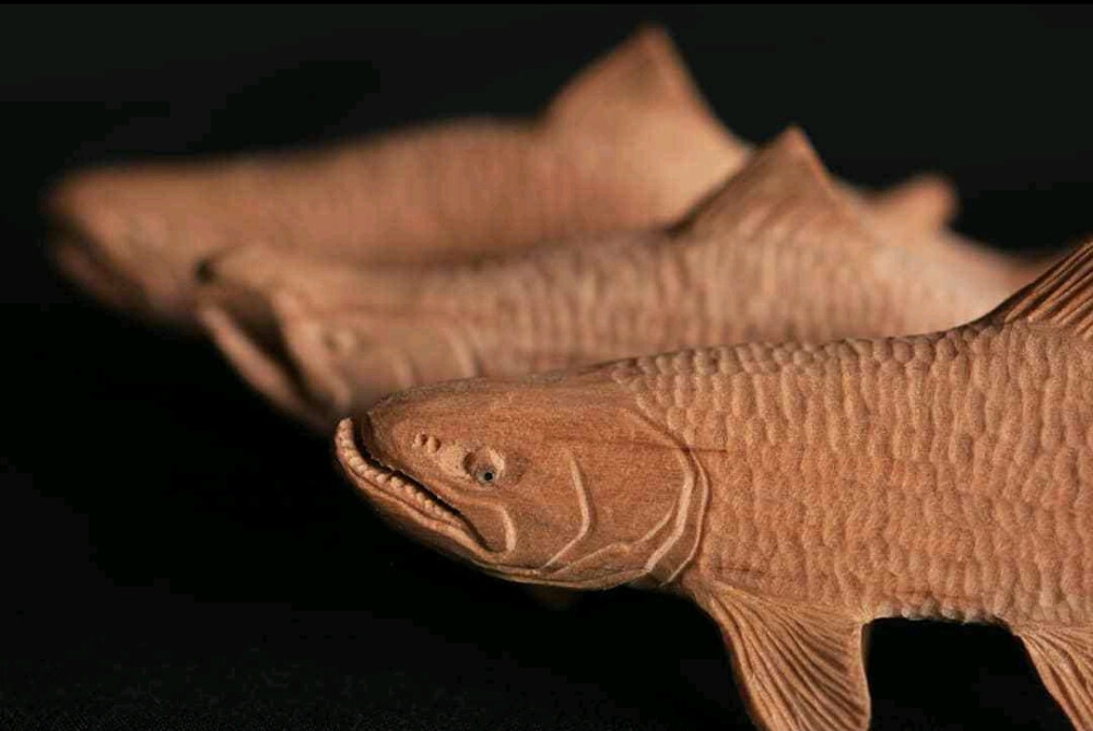 木雕海鱼，来自木雕师@ riverline _27