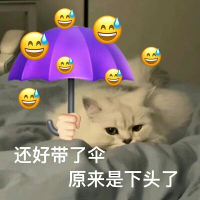 第一位表情包