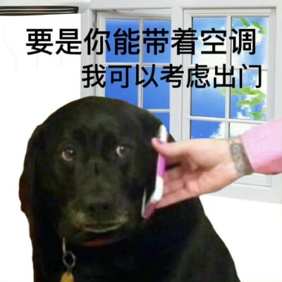 沙雕搞笑表情包