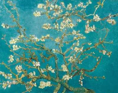 Almond Blossom