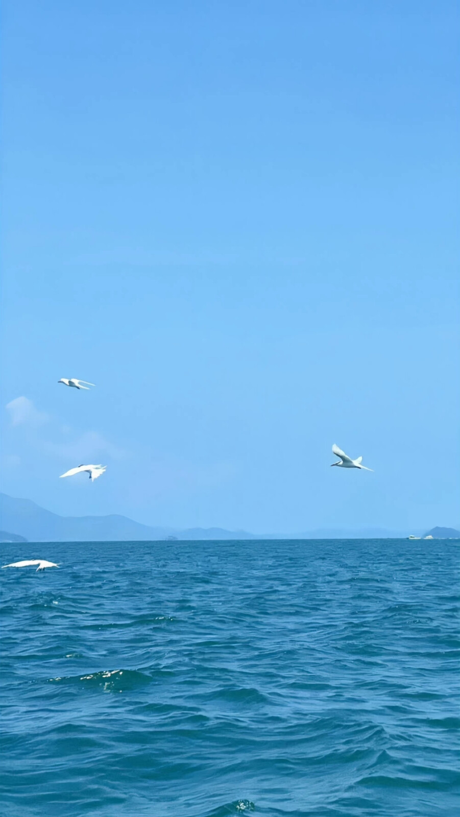 蓝色 海滩 夏日 壁纸