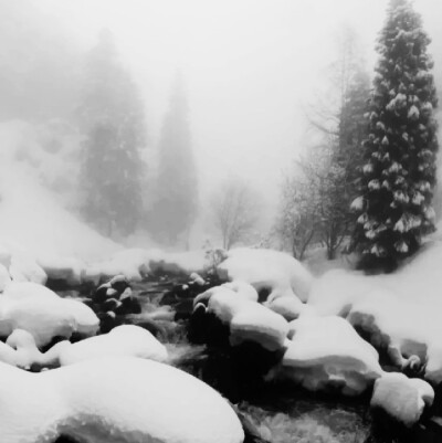 
“첫 눈” 初雪