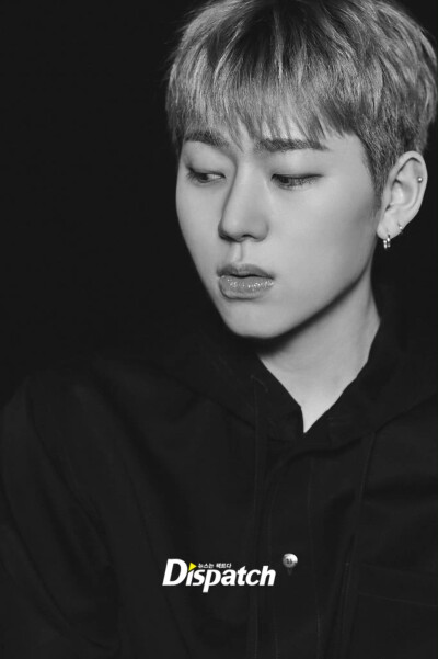 zico 禹智皓