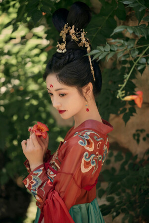 明星