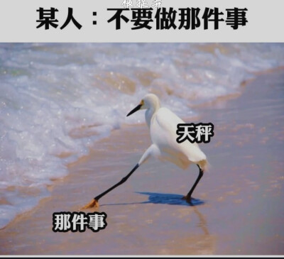 "大家都是凡人，就不要对别人的生活指手画脚了 "