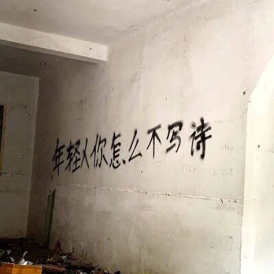 年轻人你怎么不写诗