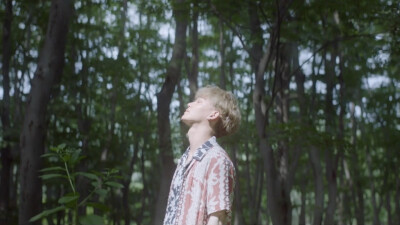 金钟大橙光背景 kokobop
