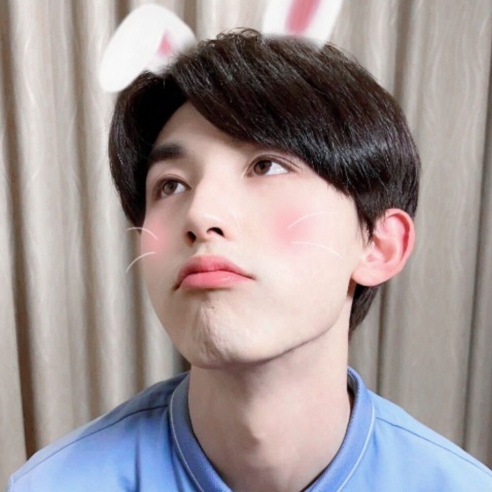 郭俊辰/可爱兔兔