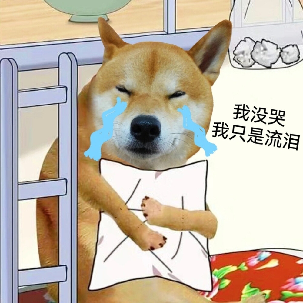 柴犬表情包