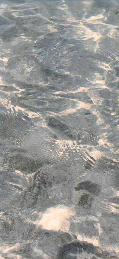 天若有道 自不会让有情人分离