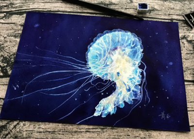 2021年画的一些水彩水母日常练习。