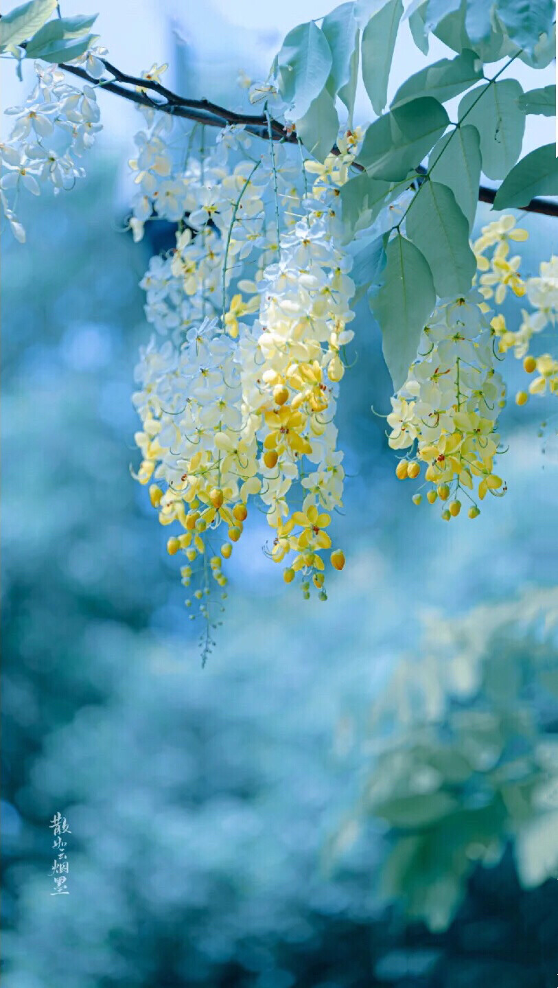 金币雨