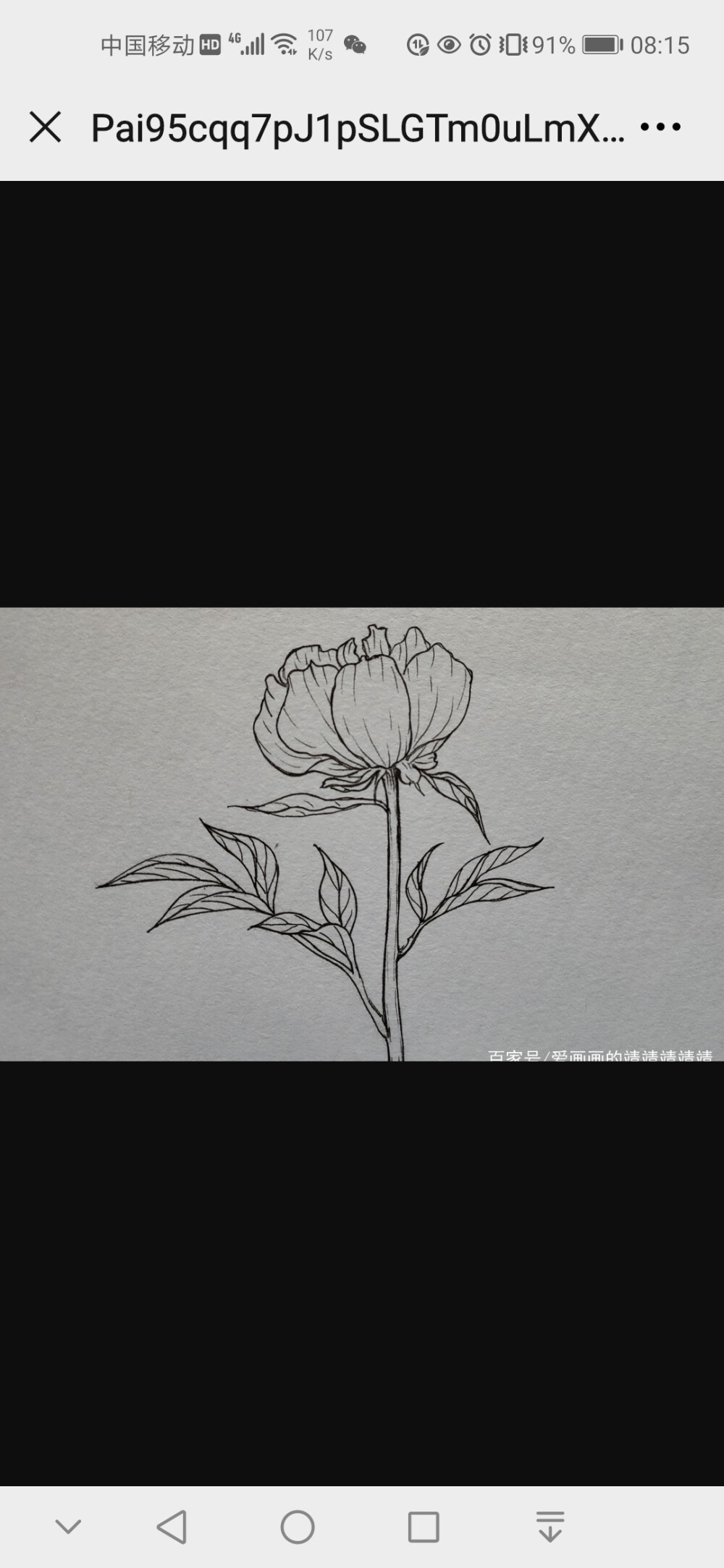 花边