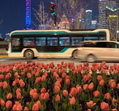 风格背景图