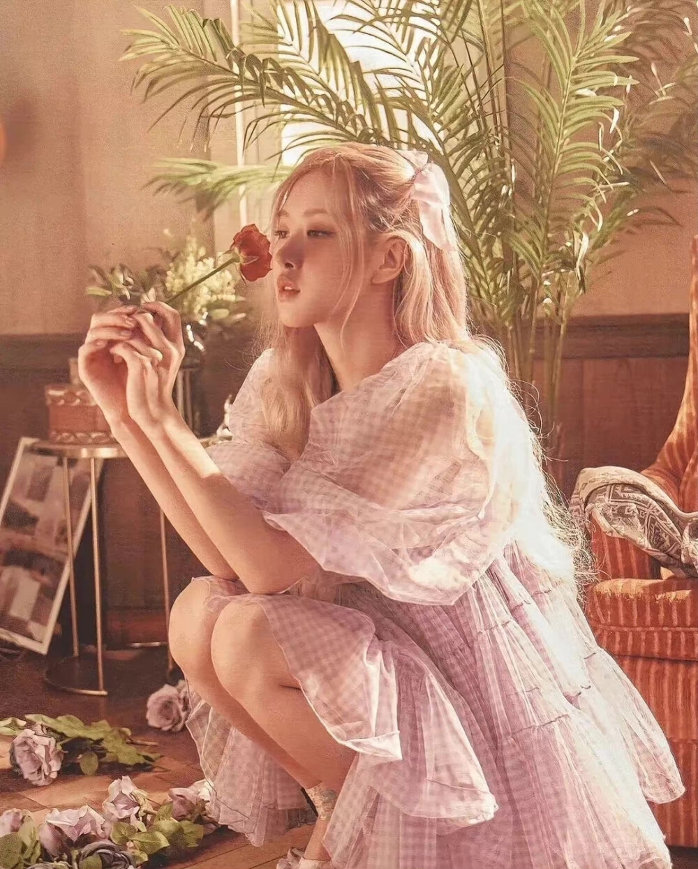 cr:半只樱桃吖 -rose|朴彩英 - 堆糖,美图壁纸兴趣社区