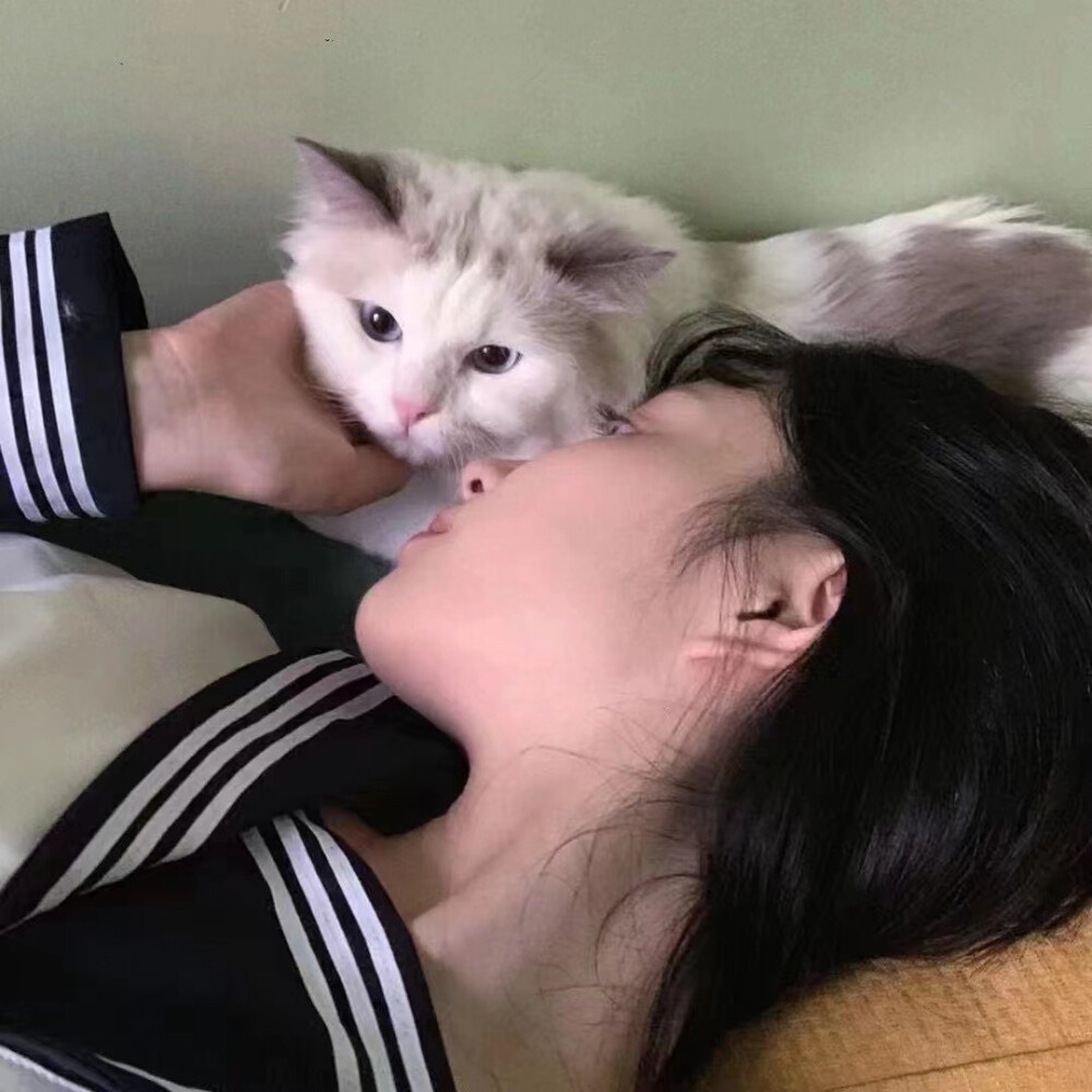 男友不是人系列