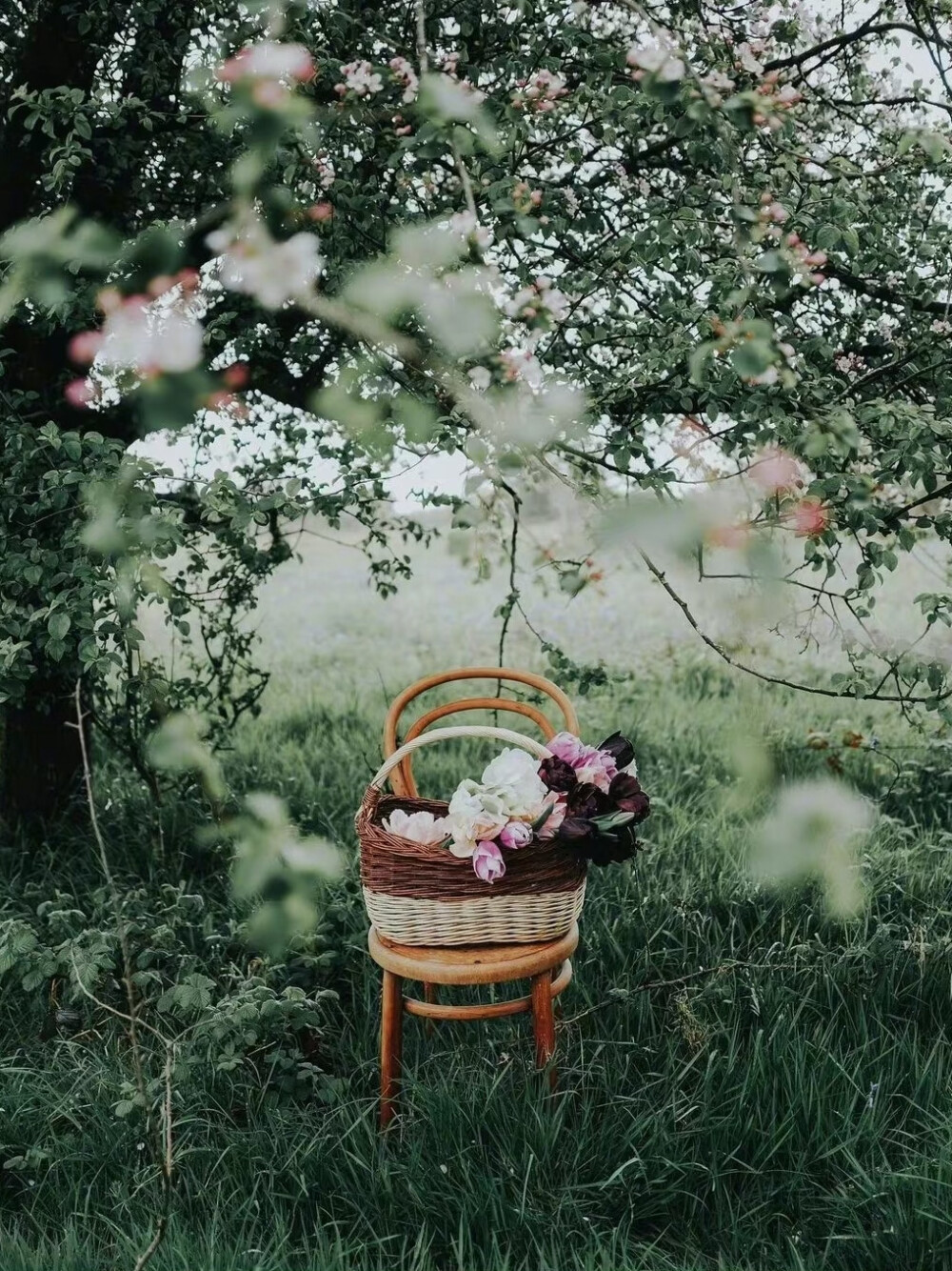 ：Flower&Chair
